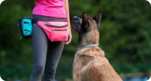 off leash dog training guide