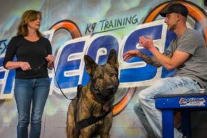 Dog trainer coaching a client with a German Shepherd during K9 obedience training session.